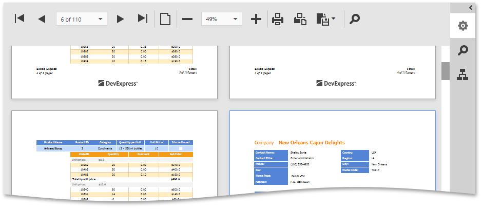 EUD_HTML5DV_MultipageMode