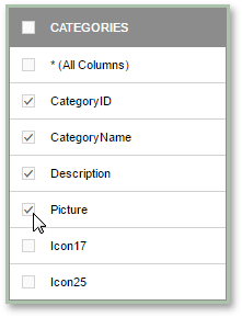 web-designer-query-builder-select-fields